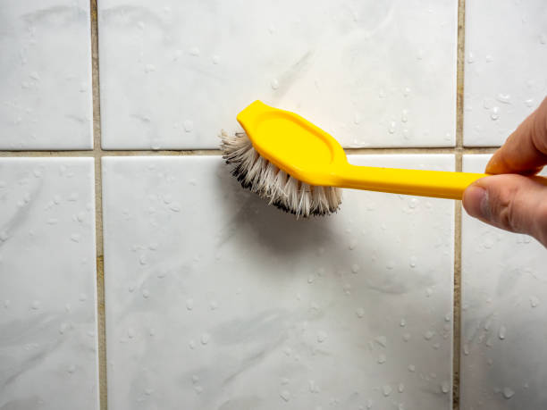 Best Mold Damage Repair  in Hinckley, MN