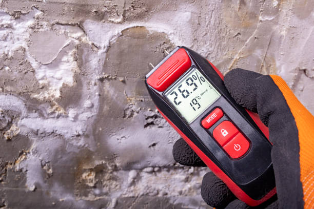 Best Mold Inspection  in Hinckley, MN